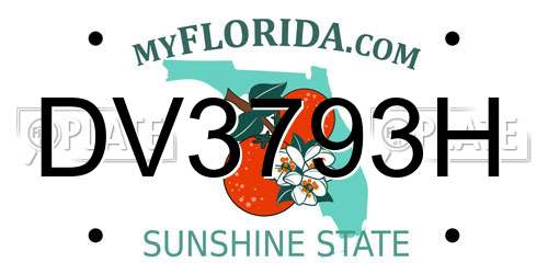 DV3793H Florida License Plate