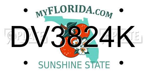 DV3824K Florida License Plate