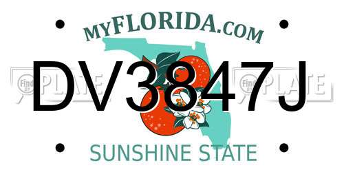 DV3847J Florida License Plate