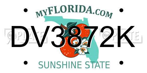 DV3872K Florida License Plate