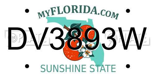DV3893W Florida License Plate