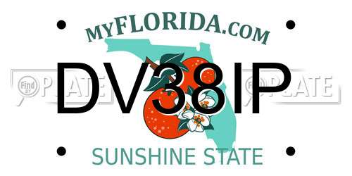DV38IP Florida License Plate