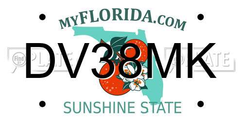 DV38MK Florida License Plate