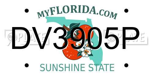 DV3905P Florida License Plate