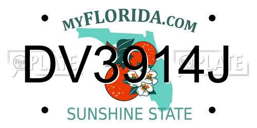 DV3914J Florida License Plate