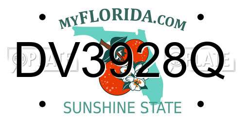 DV3928Q Florida License Plate