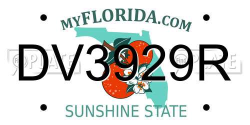 DV3929R Florida License Plate