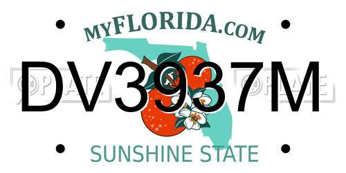 DV3937M Florida License Plate