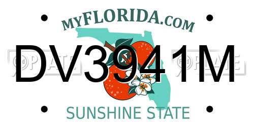 DV3941M Florida License Plate