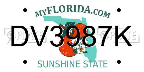 DV3987K Florida License Plate