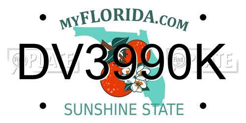 DV3990K Florida License Plate