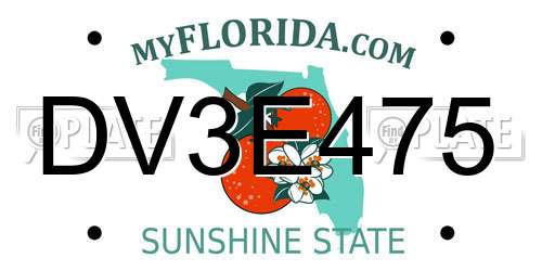 DV3E475 Florida License Plate