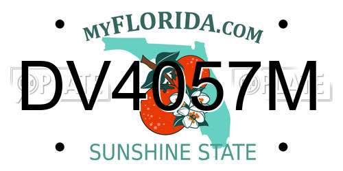 DV4057M Florida License Plate