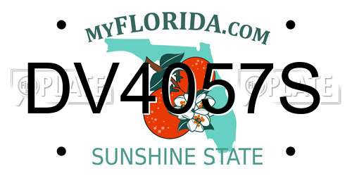 DV4057S Florida License Plate