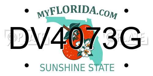 DV4073G Florida License Plate
