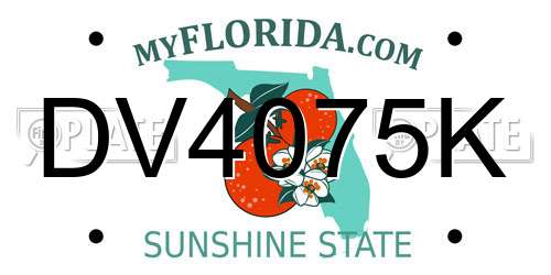 DV4075K Florida License Plate