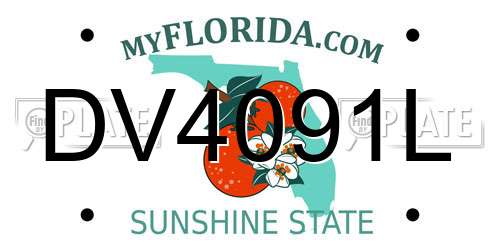 DV4091L Florida License Plate