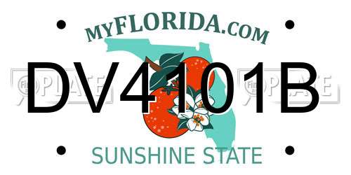DV4101B Florida License Plate
