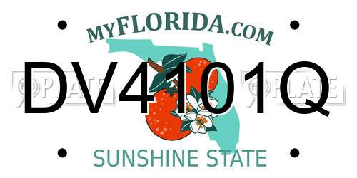 DV4101Q Florida License Plate