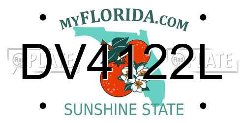 DV4122L Florida License Plate