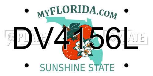 DV4156L Florida License Plate