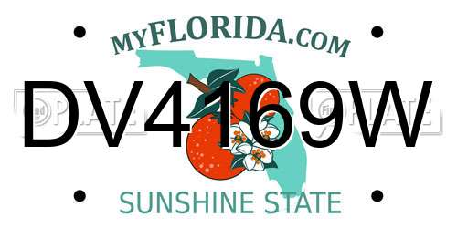DV4169W Florida License Plate