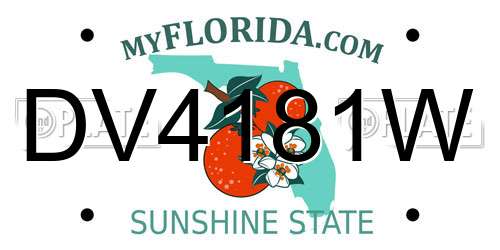 DV4181W Florida License Plate