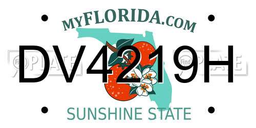DV4219H Florida License Plate