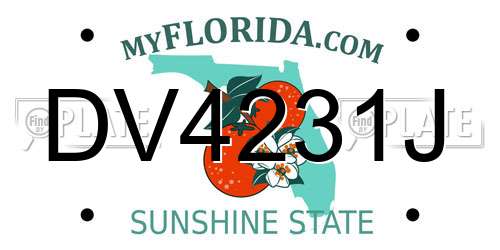 DV4231J Florida License Plate