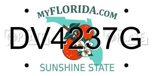 DV4237G Florida License Plate