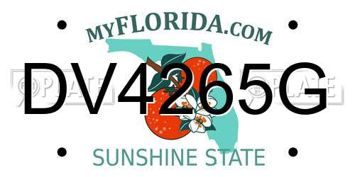 DV4265G Florida License Plate