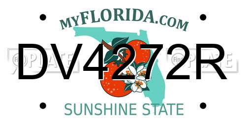 DV4272R Florida License Plate