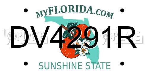 DV4291R Florida License Plate