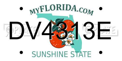 DV4313E Florida License Plate
