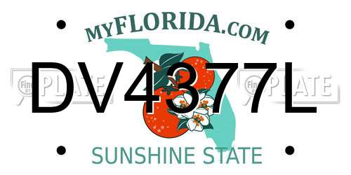 DV4377L Florida License Plate