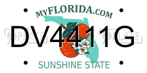 DV4411G Florida License Plate