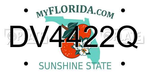 DV4422Q Florida License Plate