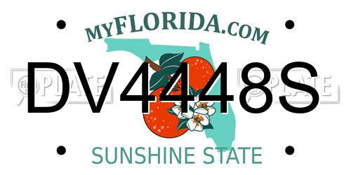 DV4448S Florida License Plate