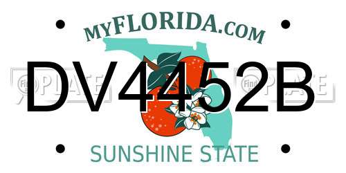 DV4452B Florida License Plate