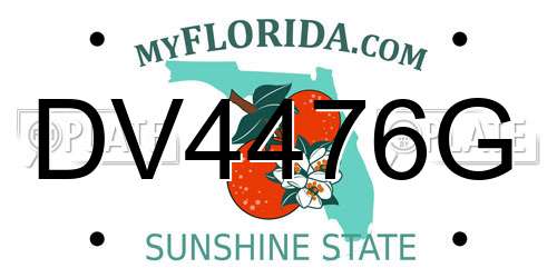 DV4476G Florida License Plate