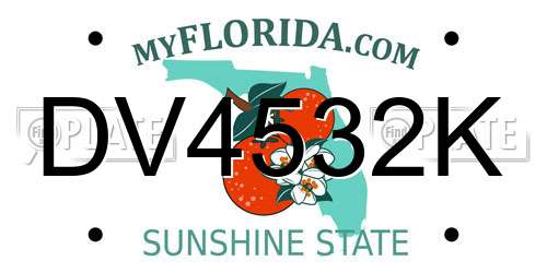 DV4532K Florida License Plate