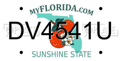 DV4541U Florida License Plate