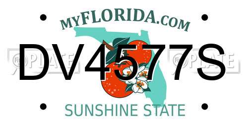 DV4577S Florida License Plate