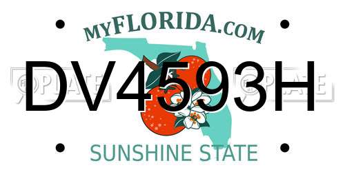 DV4593H Florida License Plate