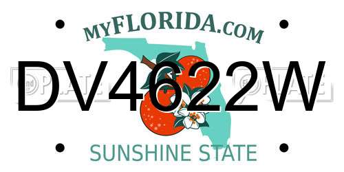 DV4622W Florida License Plate