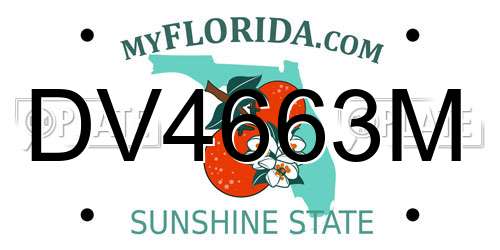 DV4663M Florida License Plate
