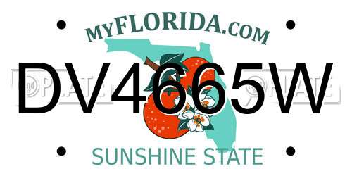 DV4665W Florida License Plate