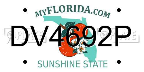 DV4692P Florida License Plate