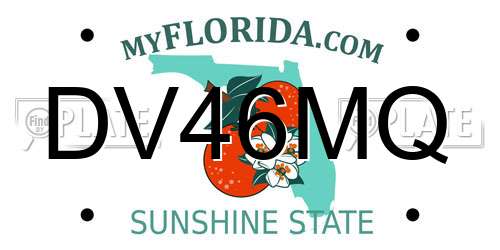 DV46MQ Florida License Plate