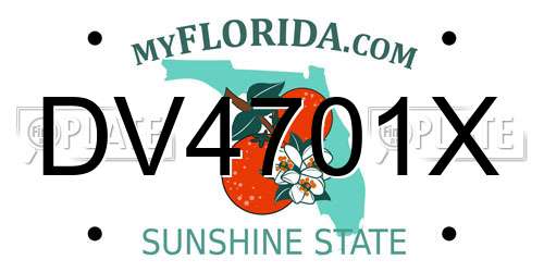 DV4701X Florida License Plate